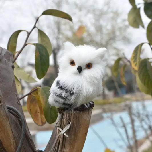 Small Stuffed Owl White United States
